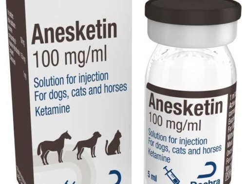 Anesket 1000mg Ketamine